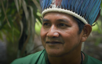 Fornecendo energia para a Amazônia sem destruir a floresta