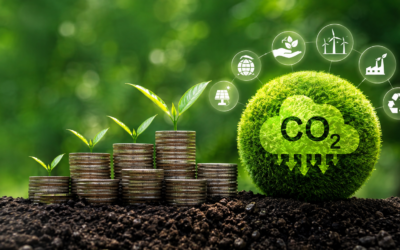 Mercado de Carbono: Como o Brasil pode transformar preservação em prosperidade