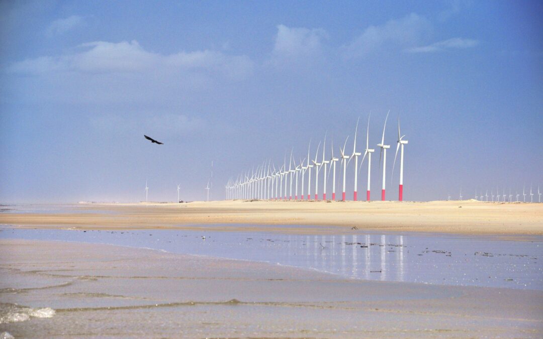 Brazil Windpower 2026: o que está em jogo para a energia eólica no Brasil